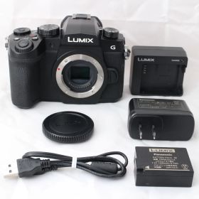 ☆美品・ショット数4828☆ Panasonic LUMIX G99D ボディ ブラック DC-G99D-K パナソニック ミラーレス一眼カメラ ルミックス #3519