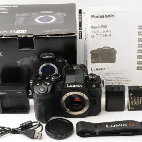 【美品 元箱付き】 パナソニック Panasonic LUMIX DC-G99