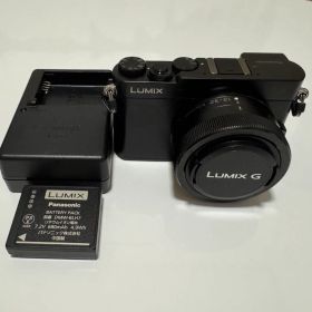Panasonic LUMIX ルミックス DMC-GM5 ミラーレス 一眼