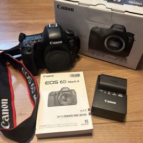 Canon EOS 6D Mark II フルサイズ一眼 ボディのみ 付属品あり