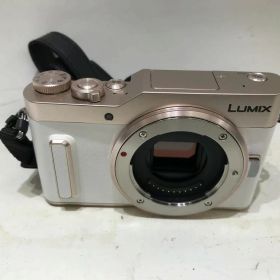 【期間限定セール】パナソニック Panasonic ミラーレス一眼 DC-GF10W-D ダブルレンズキット 【中古】