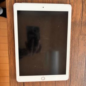 iPad 第6世代 32GB セルラーモデル A1954