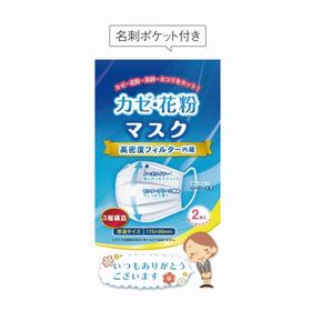 ありがとうかぜ・花粉マスク2枚入 /ウイルス/衛生/ガード/感染/菌/予防 ★500個単位で送料無料（北海道・沖縄・離島は別途）