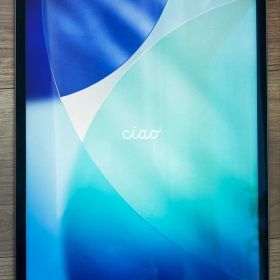 Apple 12.9インチ iPad Pro（第五世代)256GB Wi-Fi