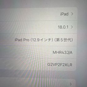iPad Pro (12.9インチ) 第5世代 本体