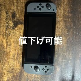 Nintendo Switch 本体とケースセット