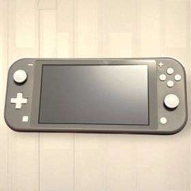 [動作問題なし] 任天堂 switch lite グレー スウィッチ ライト