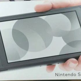 任天堂Switch Lite ライト グレー ケース セット