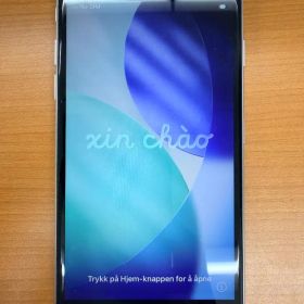 iPhone SE 第2世代 A2296 動作確認済 ID 43FD