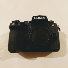 ミラーレス一眼 Lumix DC-G99