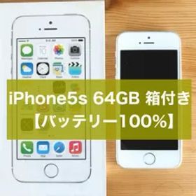 【バッテリー100%】iPhone 5s シルバー 64GB 本体 docomo 箱付き美品 ⭐︎Aランク⭐︎