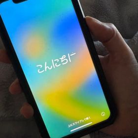iPhoneX 本体