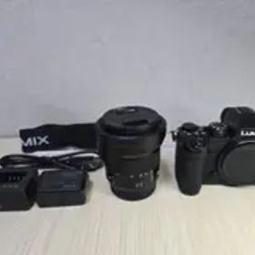 Panasonic LUMIX DC-S5K 標準ズームレンズキット
