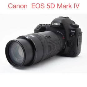 高画質/Canon EOS 5D Mark IV望遠レンズセット