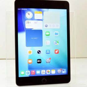 Wi-Fiモデル Apple iPad mini5 Wi-Fi 64GB iPadOS26.2 スペースグレイ MUQW2J/A 初期化済 【m029521】【中古】【K20251230】