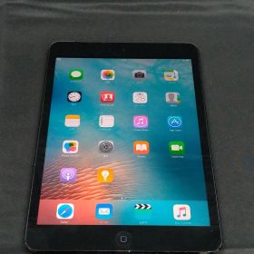 iPad mini 第1世代 A1455 MD540J/A 12.6GB ブラック 初期化済み