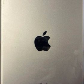 Apple iPad mini 第一世代 12.6GB