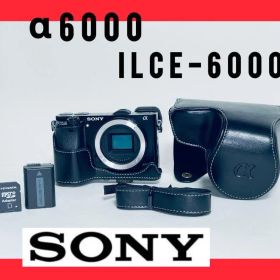 【ほぼ新品ショット数2901回】SONY α6000 ボディ ILCE-6000