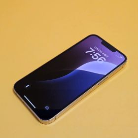 iPhone 13 Pro 256GB｜24時間以内発送!#244