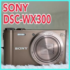 SONY カメラ DSC-WX300 充電器 ブラウン コンデジ 動作品