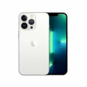 アップル(Apple)の極美品！アップル iPhone13pro 256GB シルバー【値下げ交渉可‼️】(スマートフォン本体)