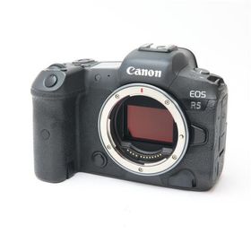 《並品》Canon EOS R5