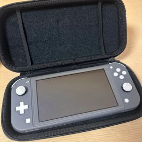 Nintendo Switch Lite グレー 専用ケース付き