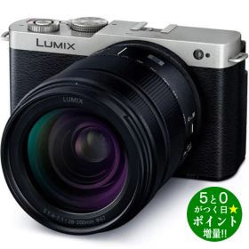 パナソニック カメラ ミラーレス一眼カメラ デジタル一眼カメラ 高倍率ズームレンズキット LUMIX S9 DC-S9H-S ダークシルバー Panasonic【転送不可】