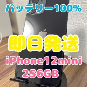 M5【即日発送】バッテリー100%iPhone12mini ブラック256GB