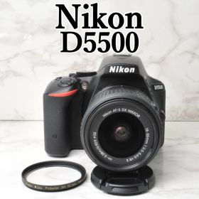美品 ショット数新品級❣️Nikon D5500⭐️Wi-Fi スマホ転送 高画質