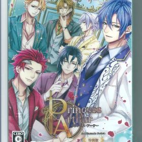 新品 Switch プリンセス・アーサー Princess Arthur for