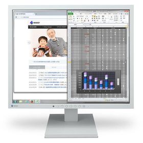 EIZO S1934-TGY FlexScan 19型液晶ディスプレイ (1280×1024 / DVI・D-Sub・DisplayPort / セレーングレイ / スピーカー:あり)