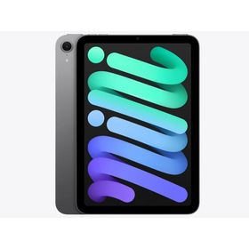『新品』Apple(アップル)iPad mini 8.3インチ Wi-Fi 256GB 2024年秋モデル MXNA3J/A [スペースグレイ]