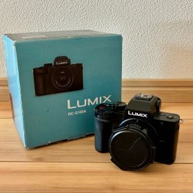 Panasonic LUMIX DC-G100K ミラーレス一眼 バッテリー4個