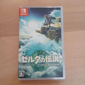 ゼルダの伝説 ティアーズ オブ ザ キングダム Switch