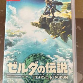 ゼルダの伝説 ティアーズ オブ ザ キングダム