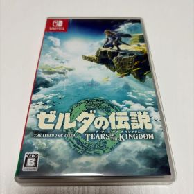 ゼルダの伝説 ティアーズ オブ ザ キングダム