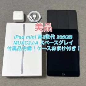 【美品】iPad mini（第5世代） 256g SIMフリー 箱付き