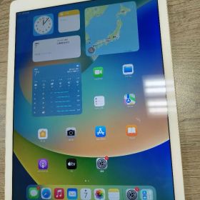 iPad Pro (12.9インチ) 128GB Cellularモデル