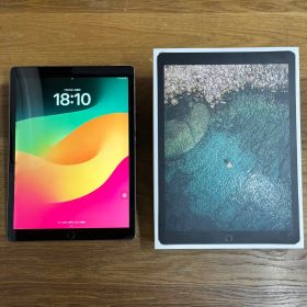 ipad pro 12.9inch 第二世代 512gb cellularモデル