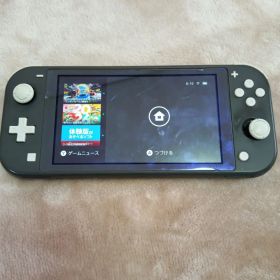Nintendo Switch Lite グレー （一部不具合）