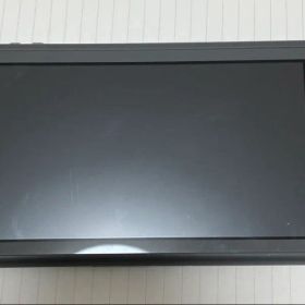 任天堂スイッチライト グレー あつまれどうぶつの森