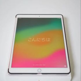iPad Pro 10.5インチ RoseGold 256GB