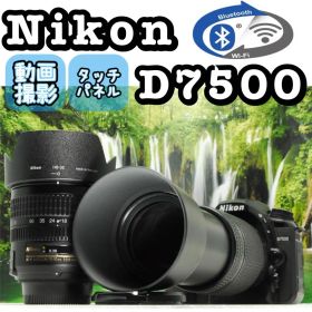 Nikon D7500 ❤️超望遠300mm ダブルレンズ ニコン 一眼レフカメラ