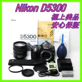 Nikon D5300 高画質Wi-Fi✨標準ズーム付 一眼レフ