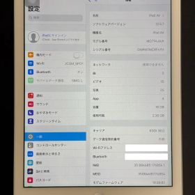 iPad Air 第一世代 (A1475) 16GB シルバー 本体