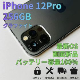 美品 iPhone 12 Pro 256GB