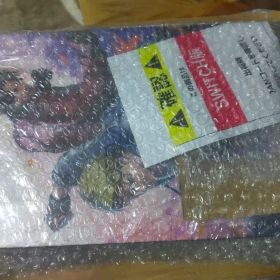 ダブルドラゴン リヴァイヴ コレクターズエディション アクキー付き