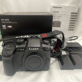 Panasonic LUMIX DC-GH5 デジタルカメラ ボディ 4K対応