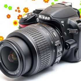 ニコン Nikon D3100☆スマホに転送♪☆手振れ補正付き☆初心者歓迎